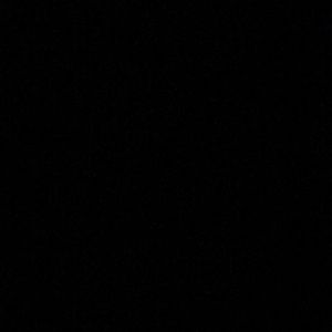 Meet your Posher, Shonda